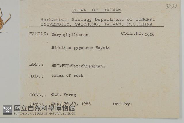 玉山石竹藏品圖，第2張