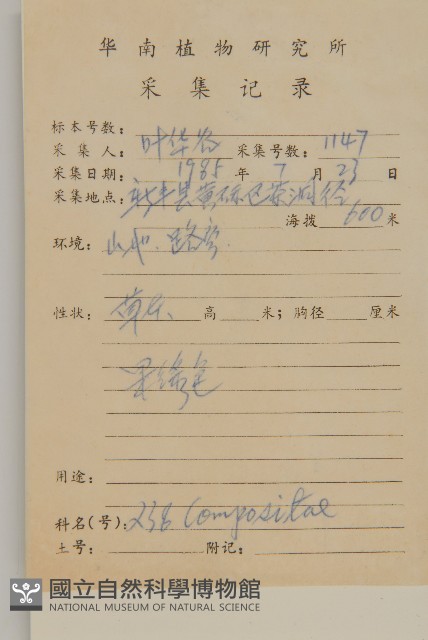 鱧腸藏品圖，第2張