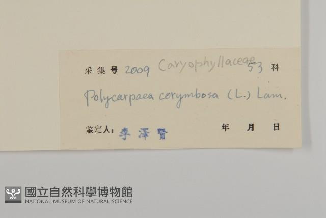 白鼓釘藏品圖，第3張