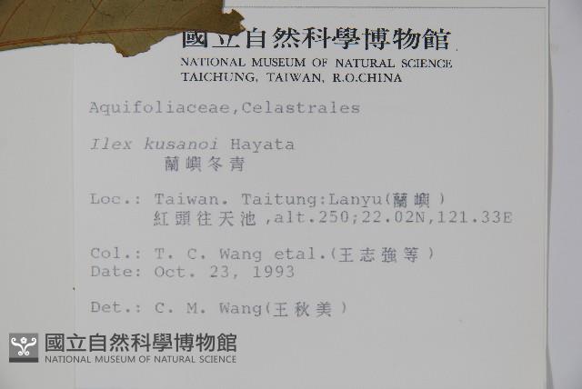 草野氏冬青藏品圖，第2張