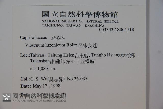 呂宋莢迷藏品圖，第2張