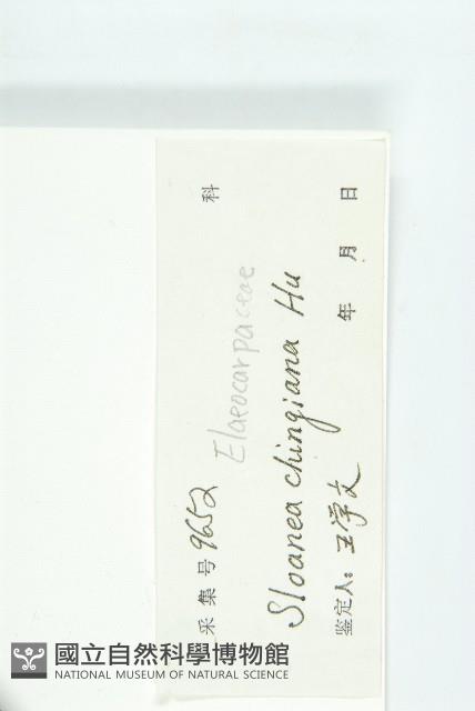 百色猴歡喜藏品圖，第3張