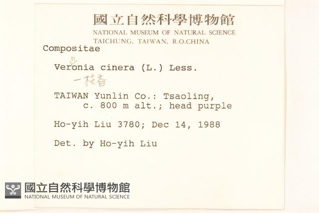 一枝香藏品圖，第2張