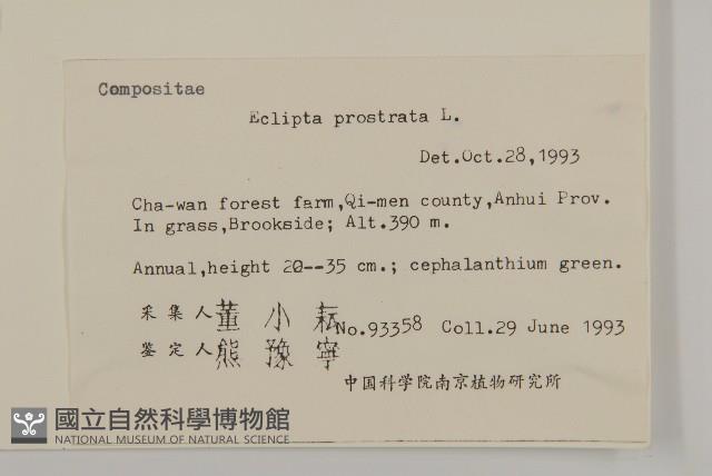 鱧腸藏品圖，第2張