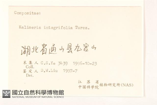 全葉馬蘭藏品圖，第3張