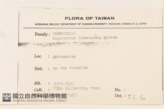 水冬瓜藏品圖，第2張