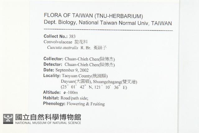 菟絲子藏品圖，第2張