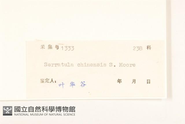 華麻花頭藏品圖，第3張