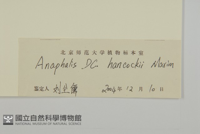 零零香藏品圖，第3張