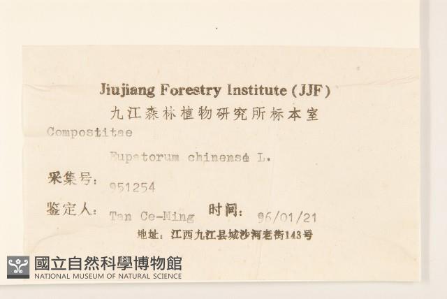 華澤蘭藏品圖，第3張