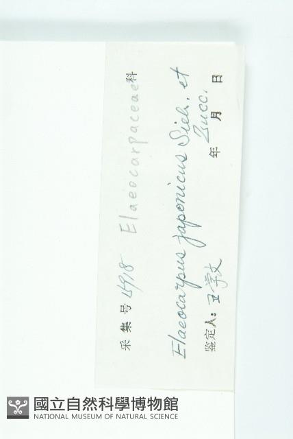 薯豆藏品圖，第3張