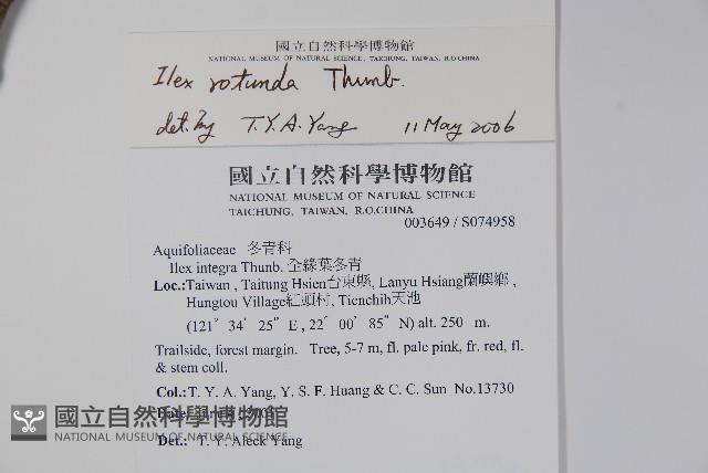 鐵冬青藏品圖，第2張