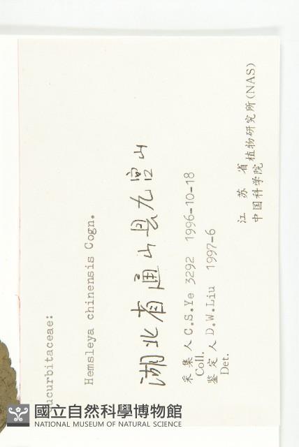 馬銅鈴藏品圖，第3張