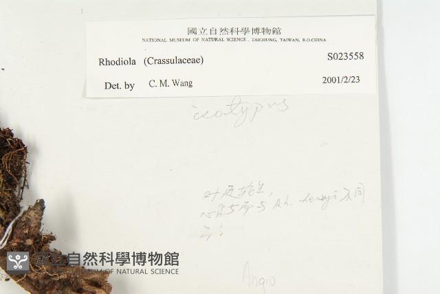 登錄號:S023558藏品圖，第3張