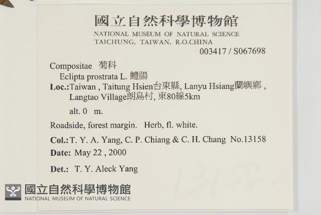 鱧腸藏品圖，第5張