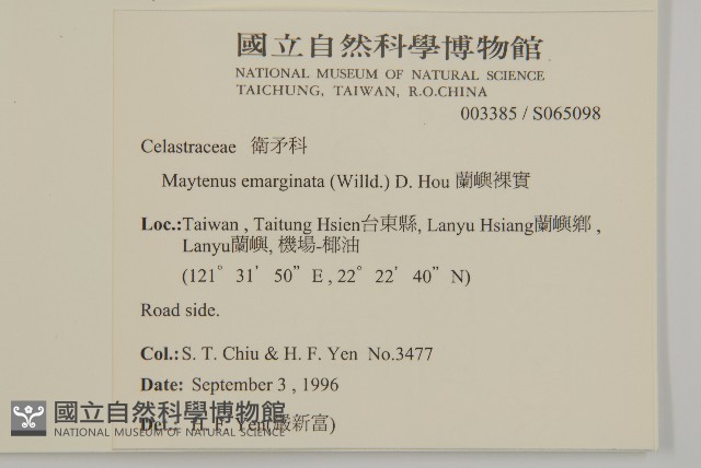 蘭嶼裸實藏品圖，第2張