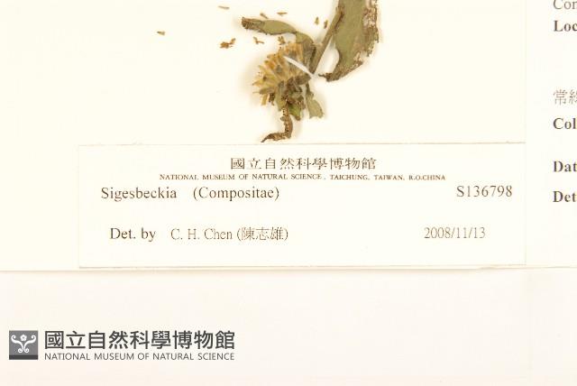 登錄號:S136798藏品圖，第3張