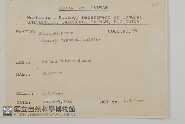 玉山石竹藏品圖，第2張