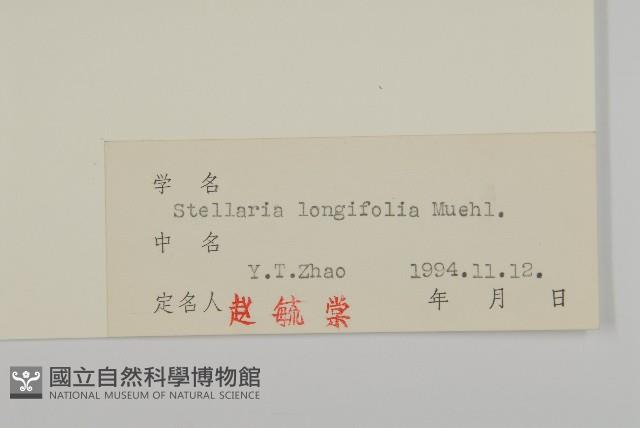 華繁縷藏品圖，第3張