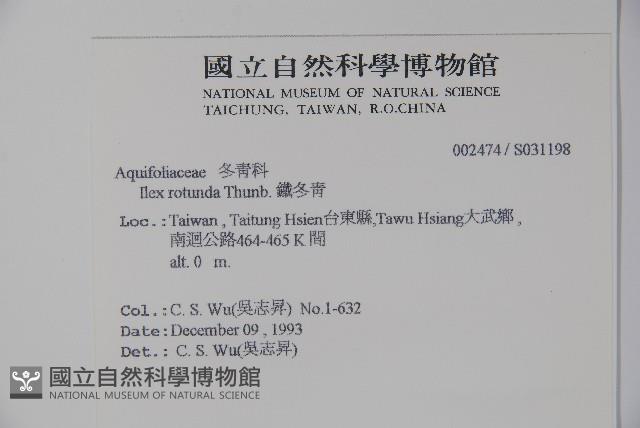 鐵冬青藏品圖，第2張