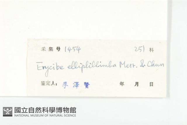 九來龍藏品圖，第3張