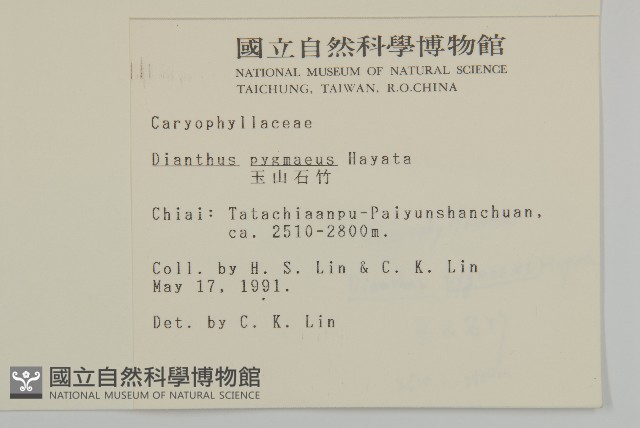 玉山石竹藏品圖，第2張