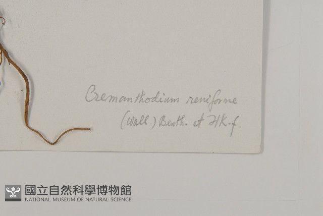 登錄號:S022738藏品圖，第3張