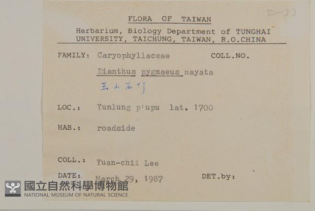 玉山石竹藏品圖，第2張