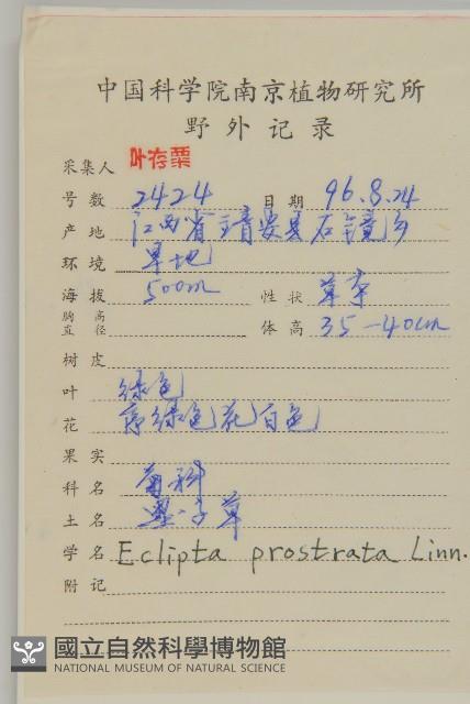 鱧腸藏品圖，第2張