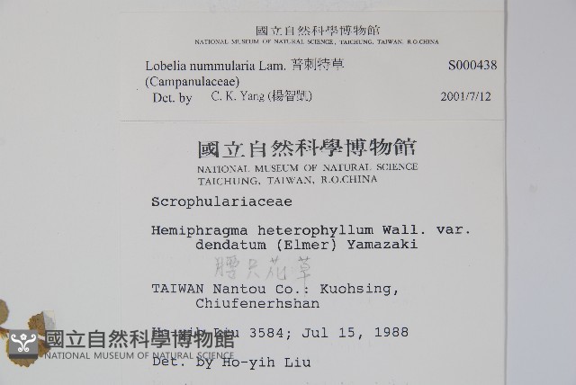 普刺特草藏品圖，第2張