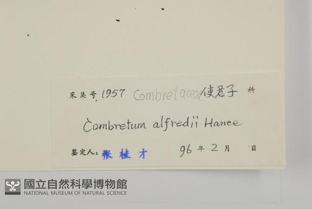 Accession Number:S041138 Collection Image, Figure 3, Total 3 Figures