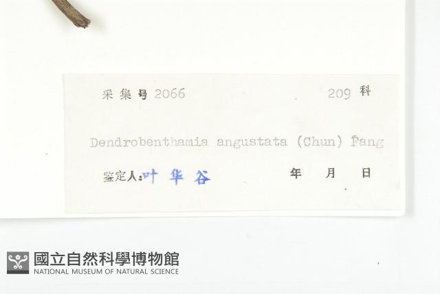 Accession Number:S042338 Collection Image, Figure 3, Total 3 Figures