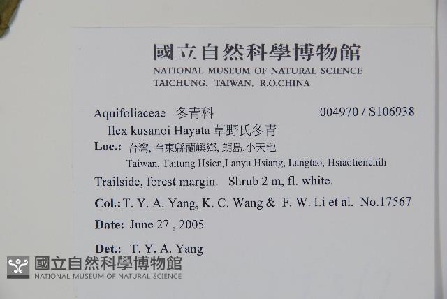 草野氏冬青藏品圖，第2張