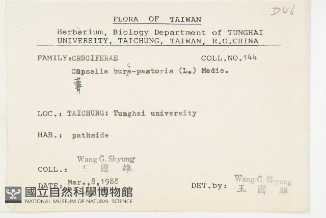 薺藏品圖，第2張