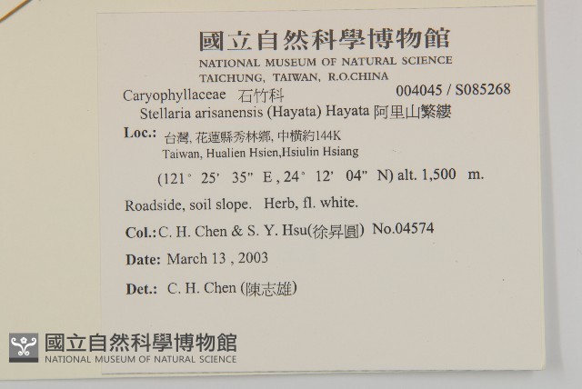 阿里山繁縷藏品圖，第2張