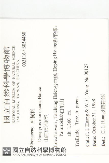 山紅柿藏品圖，第2張