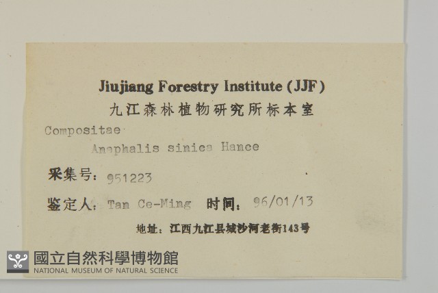 香青藏品圖，第3張