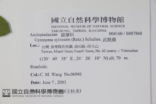 武靴藤藏品圖，第2張