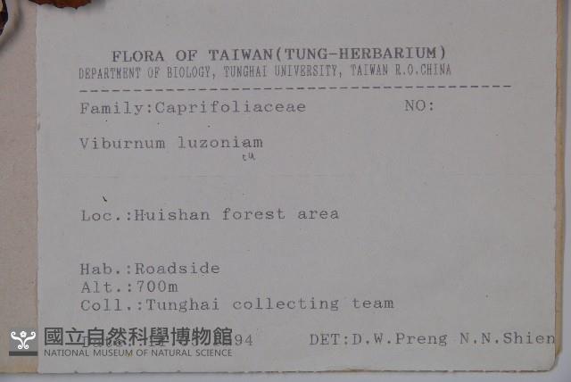 呂宋莢迷藏品圖，第2張