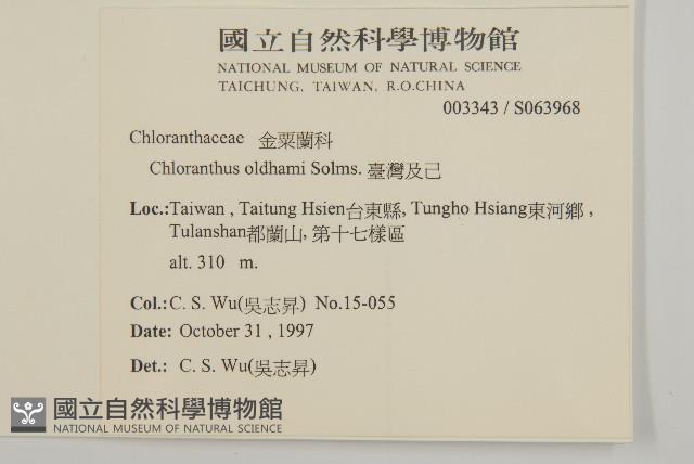 臺灣及己藏品圖，第2張