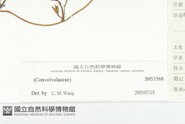 登錄號:S053568藏品圖，第3張