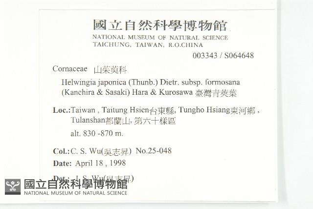 臺灣青莢葉藏品圖，第2張