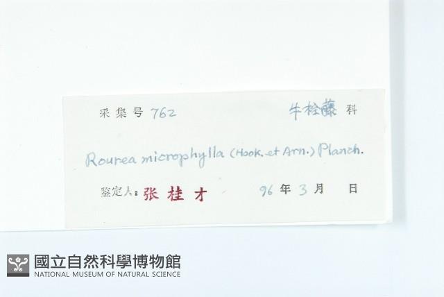 Accession Number:S043648 Collection Image, Figure 3, Total 3 Figures