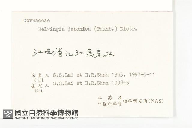 青莢葉藏品圖，第3張