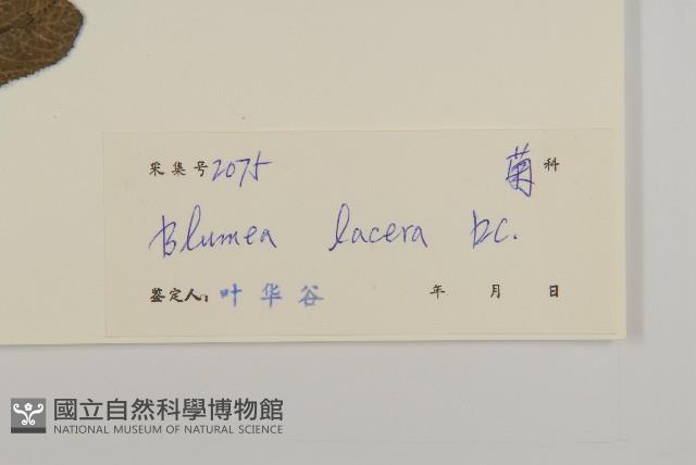 生毛將軍藏品圖，第3張