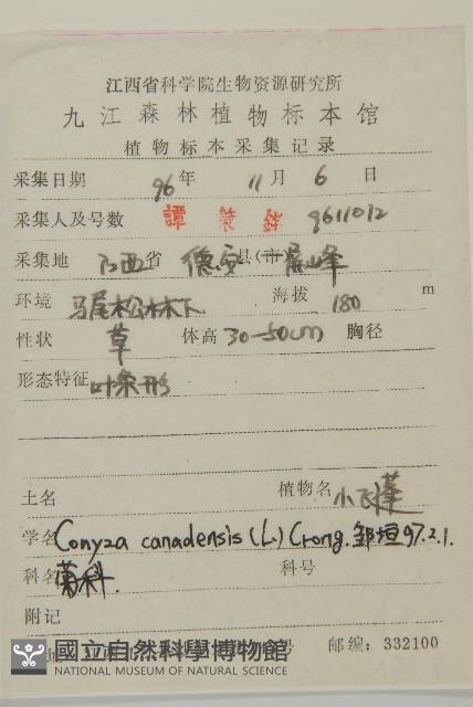 加拿大蓬藏品圖，第2張