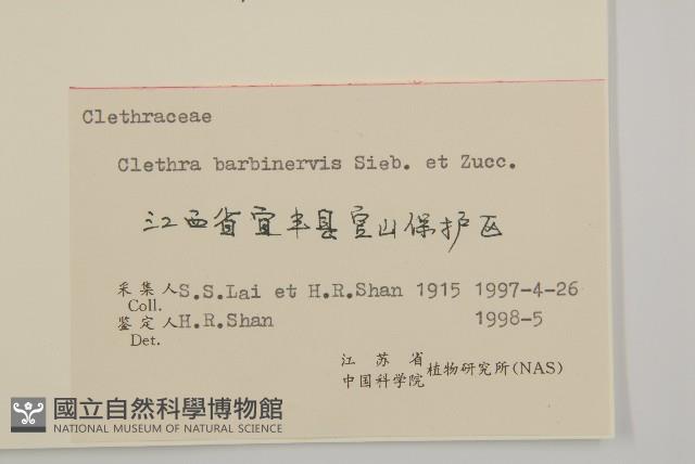 華東山柳藏品圖，第3張