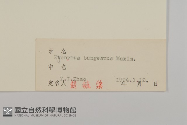白杜藏品圖，第3張