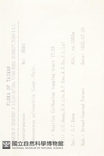 杜英、山杜英、蘭嶼杜英藏品圖，第2張