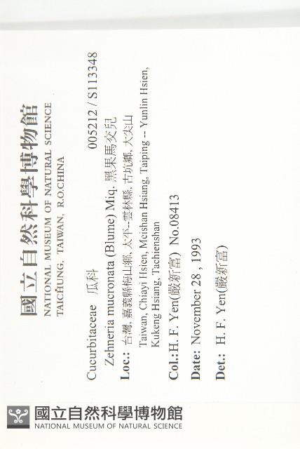 黑果馬交兒藏品圖，第2張